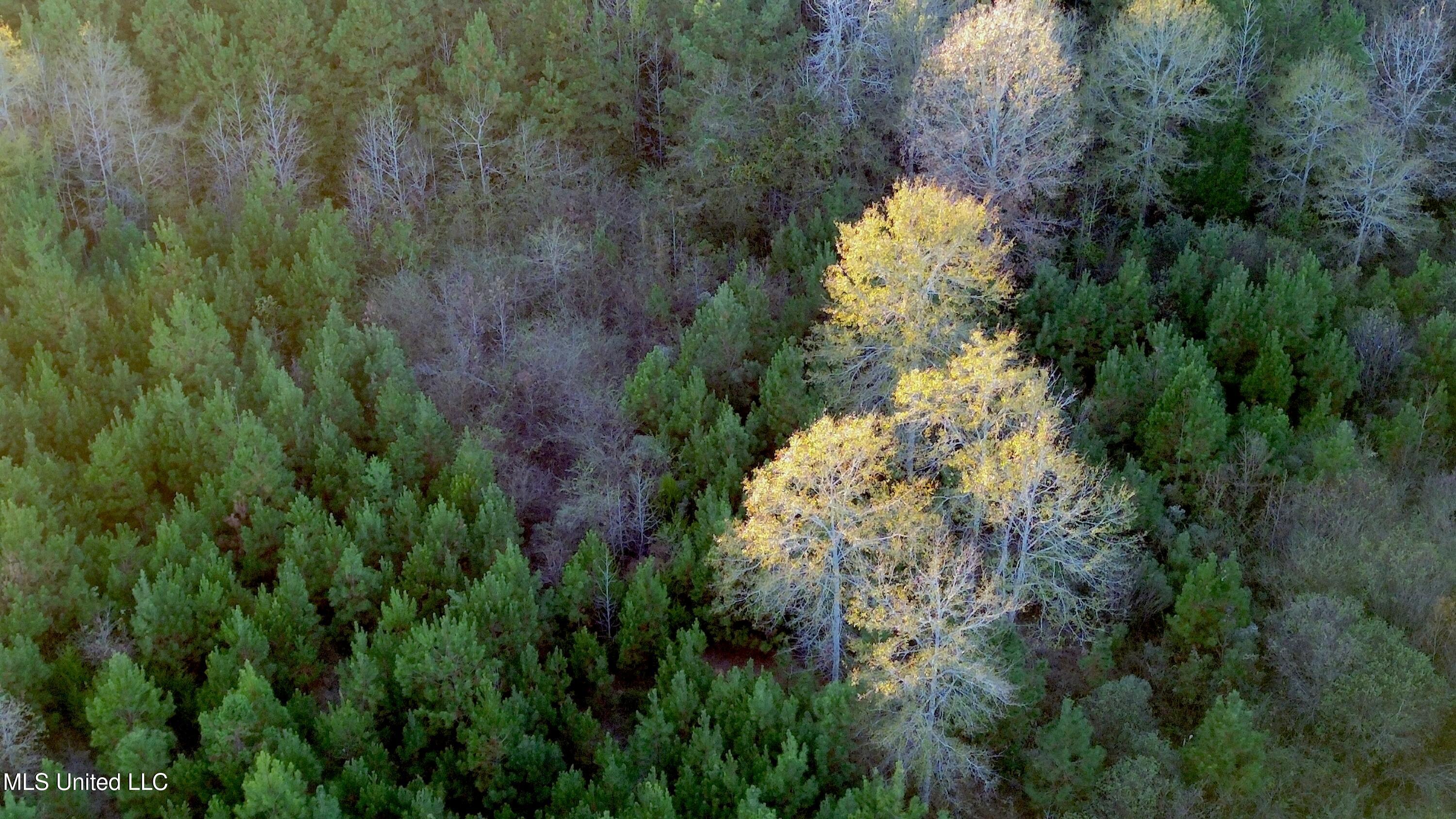 0 Highway 513 Enterprise, MS 39330 - Photo 22 of 22 DJI_0060