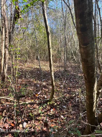 $92,400 | 0 Highway 513, Enterprise, MS 39330