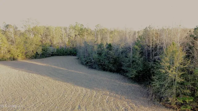 $92,400 | 0 Highway 513, Enterprise, MS 39330