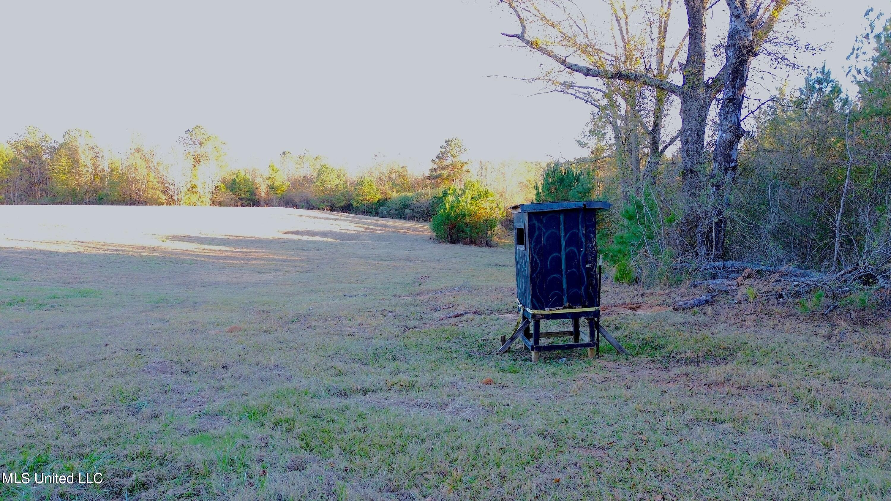0 Highway 513 Enterprise, MS 39330 - Photo 7 of 22 DJI_0043