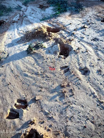 $92,400 | 0 Highway 513, Enterprise, MS 39330