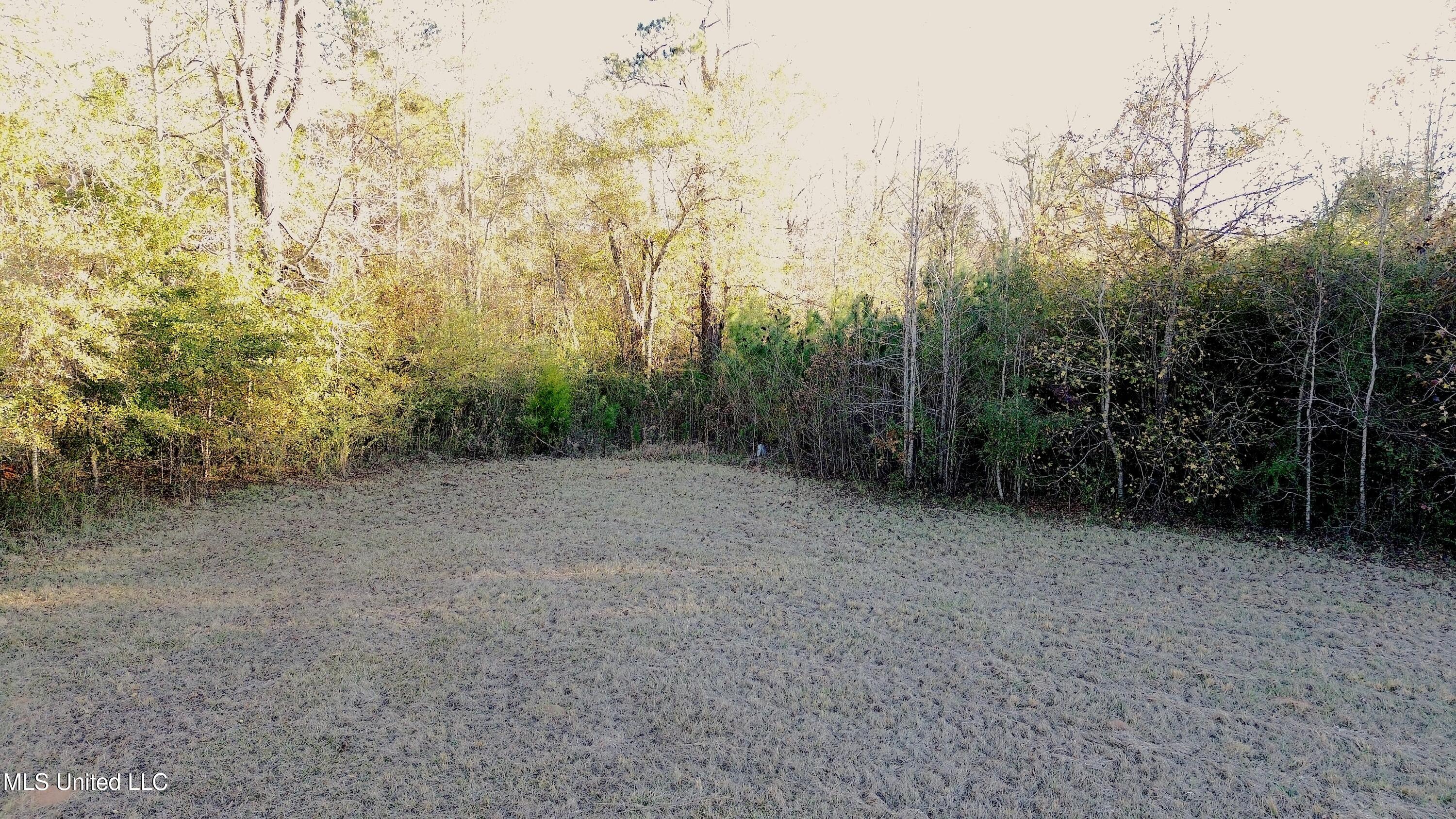 0 Highway 513 Enterprise, MS 39330 - Photo 9 of 22 DJI_0040