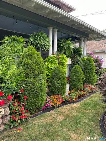 a view of a potted plant is sitting in front of a house
