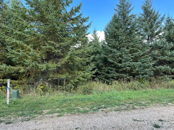 $35,000 | 26795 Lidstrom Road, Detroit Lakes, MN 56501