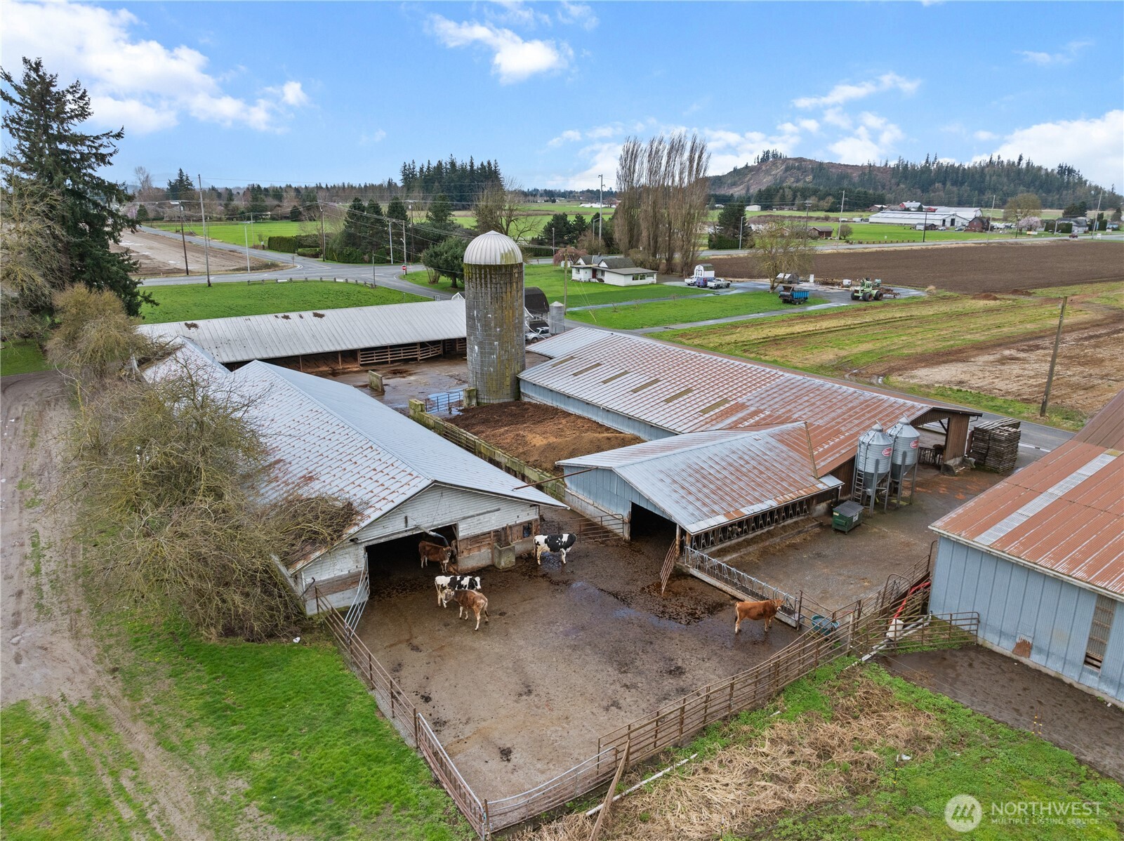 21563-21567 Cook Road Sedro-Woolley, WA 98284 - Photo 32 of 38 aerial view of a house with a yard and lake view