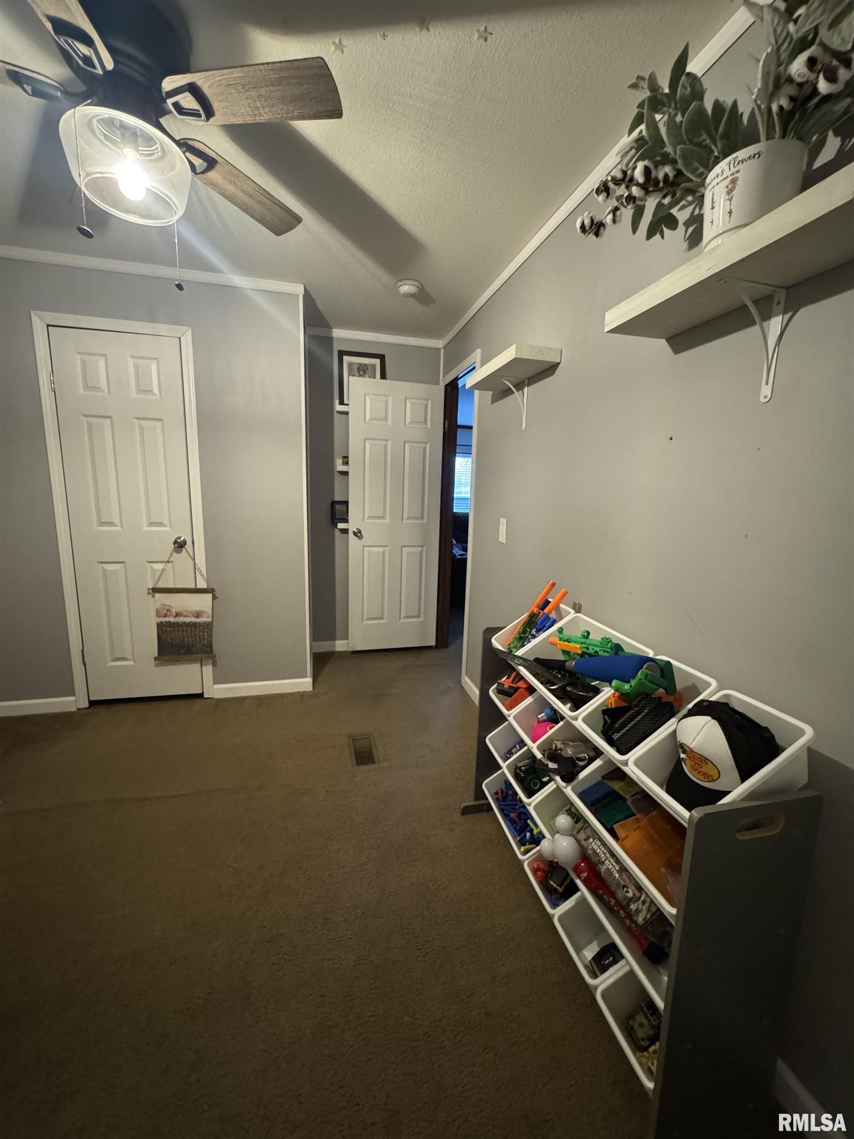 11271 West Center Road Mulkeytown, IL 62865 - Photo 12 of 28