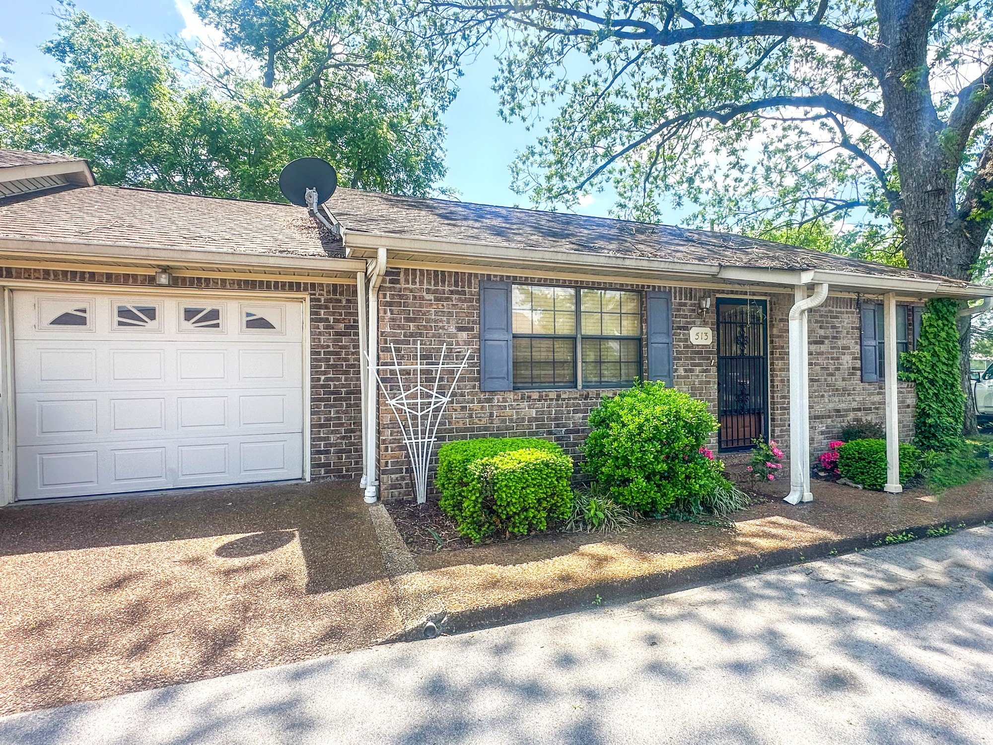 a view of a house with a small yard plants and large tree