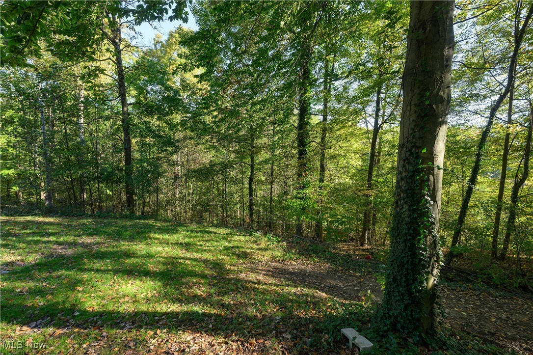 33201 Host Road Bowerston, OH 44695 - Photo 29 of 30 View of landscape