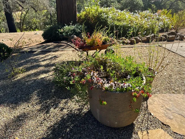 $4,200 | 926 Champion Lane, Deer Park, CA 94576