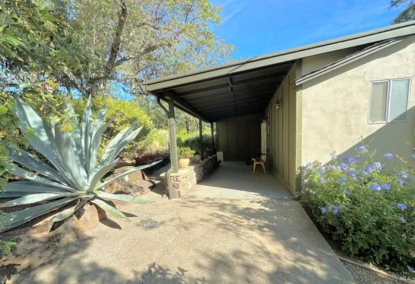 a view of yard with trees