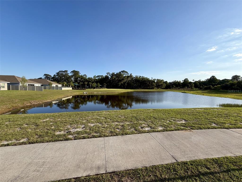 3120 Goose Road Davenport, FL 33837 - Photo 32 of 34