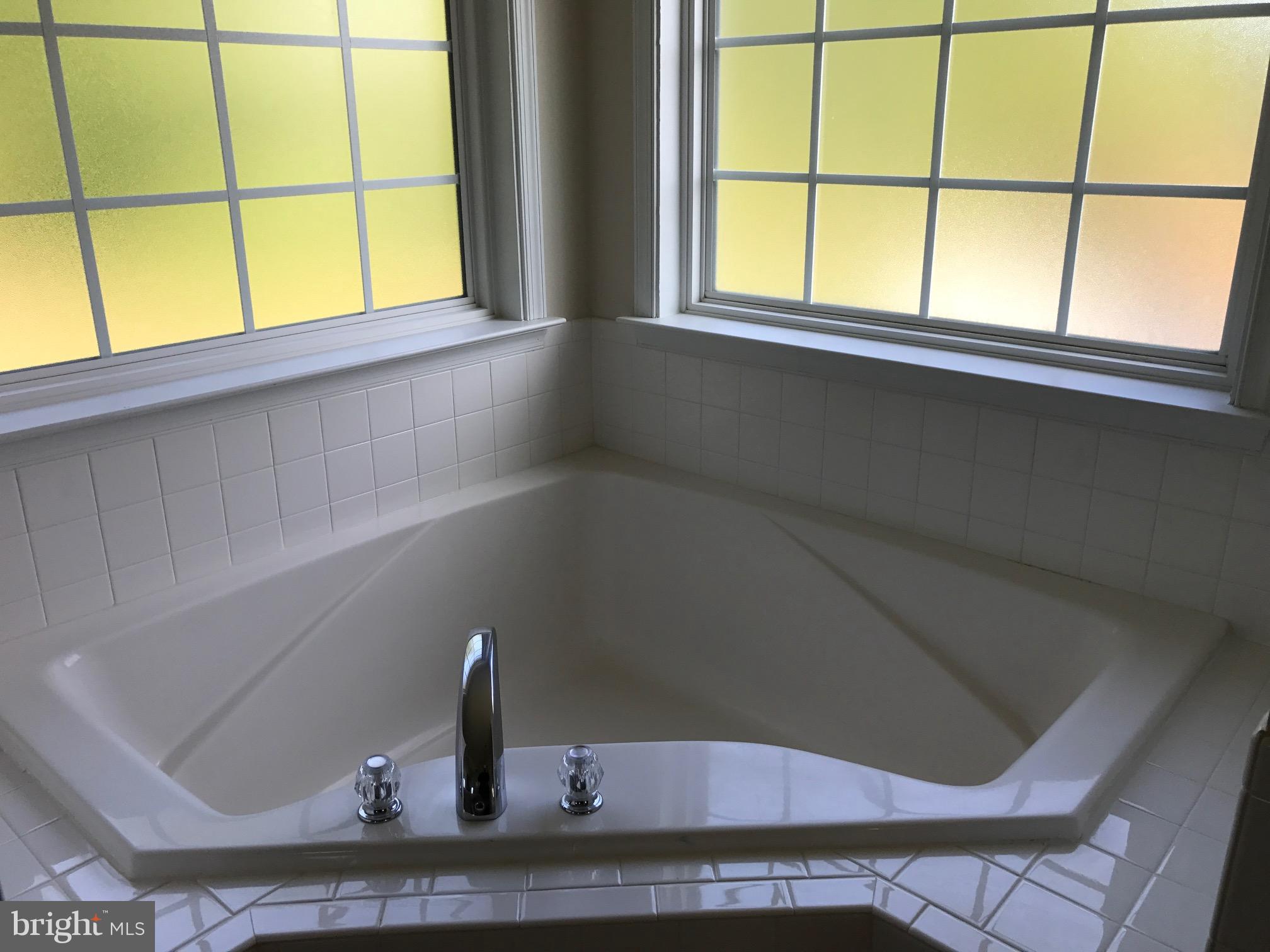 35311 Pheasant Ridge Road Locust Grove, VA 22508 - Photo 12 of 20 Master bath boasts corner soaking tub
