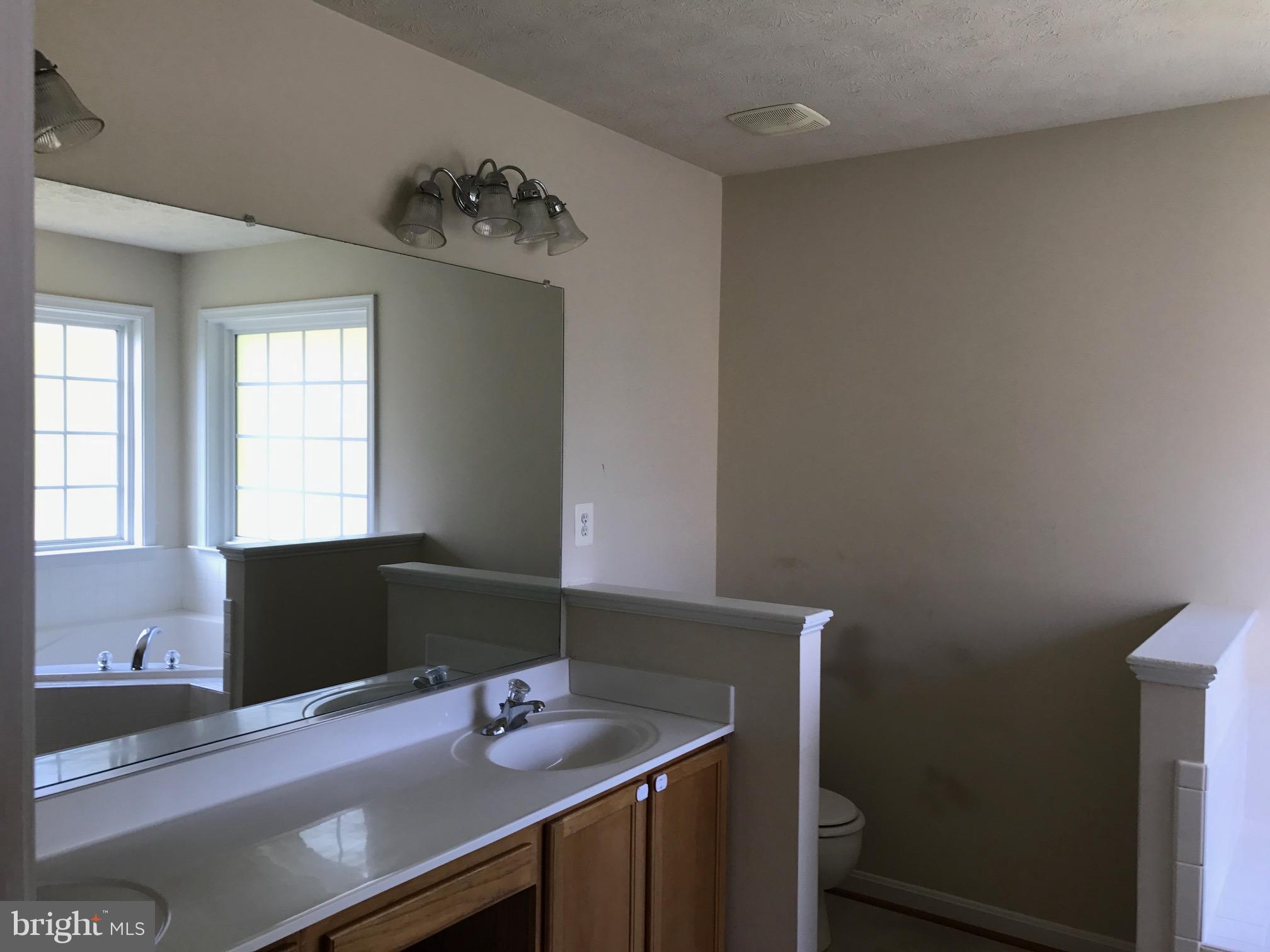 35311 Pheasant Ridge Road Locust Grove, VA 22508 - Photo 13 of 20 Master bath offers shower and double sinks