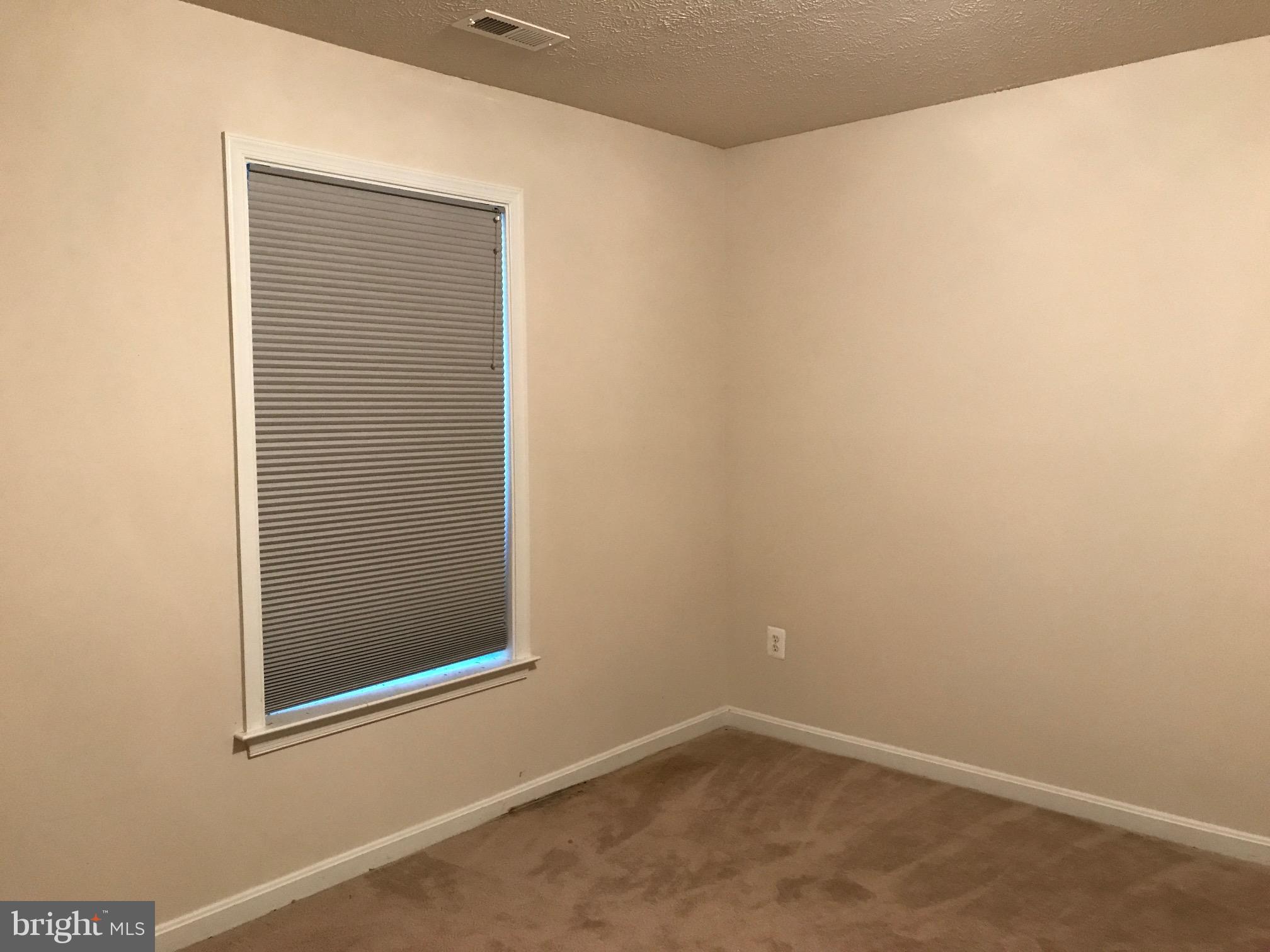 35311 Pheasant Ridge Road Locust Grove, VA 22508 - Photo 19 of 20 Lower level 5th bedroom