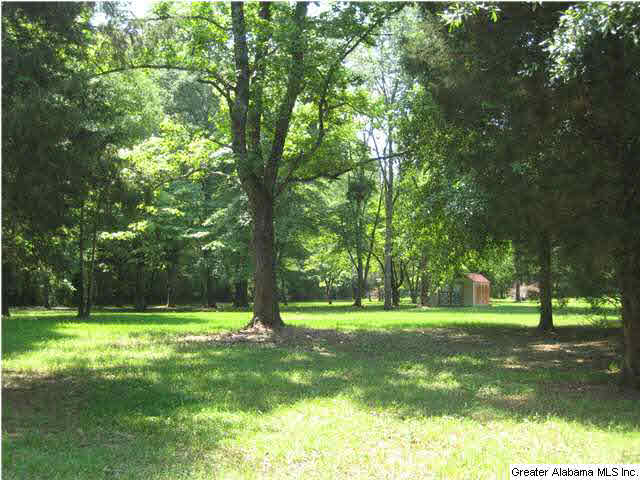 420 Happy Hollow Road Odenville, AL 35120 - Photo 11 of 23