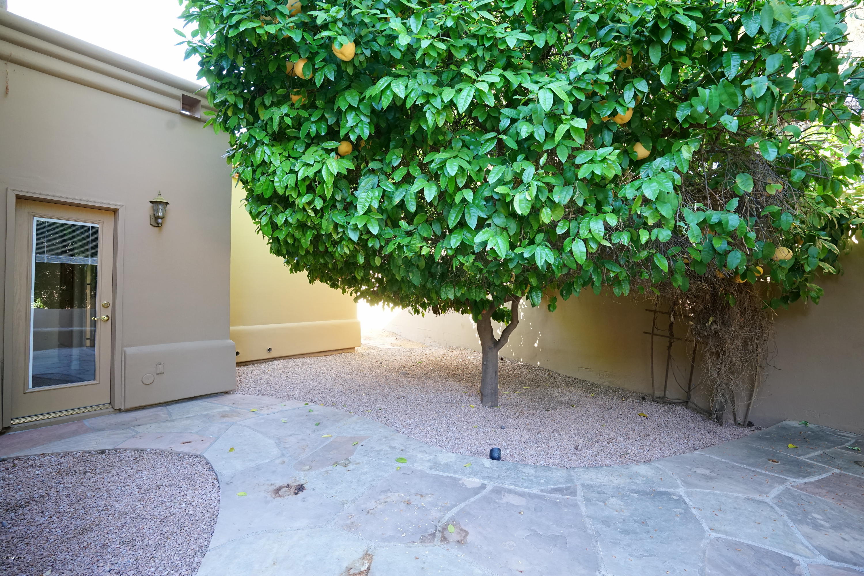 1225 East Warner Road, Unit 6 Tempe, AZ 85284 - Photo 58 of 86 a view of a house with a tree