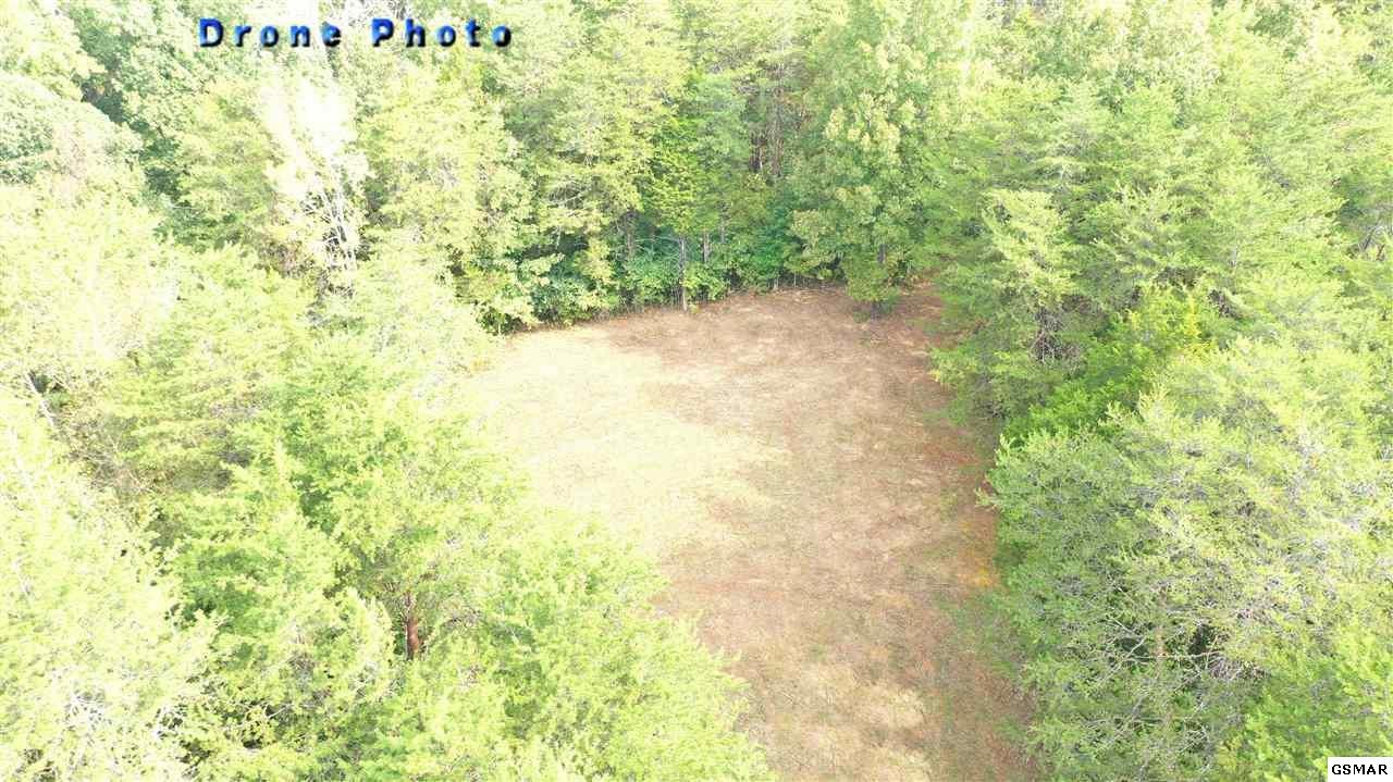 807 Smith School Road Kodak, TN 37764 - Photo 10 of 23 Gallery Image 10