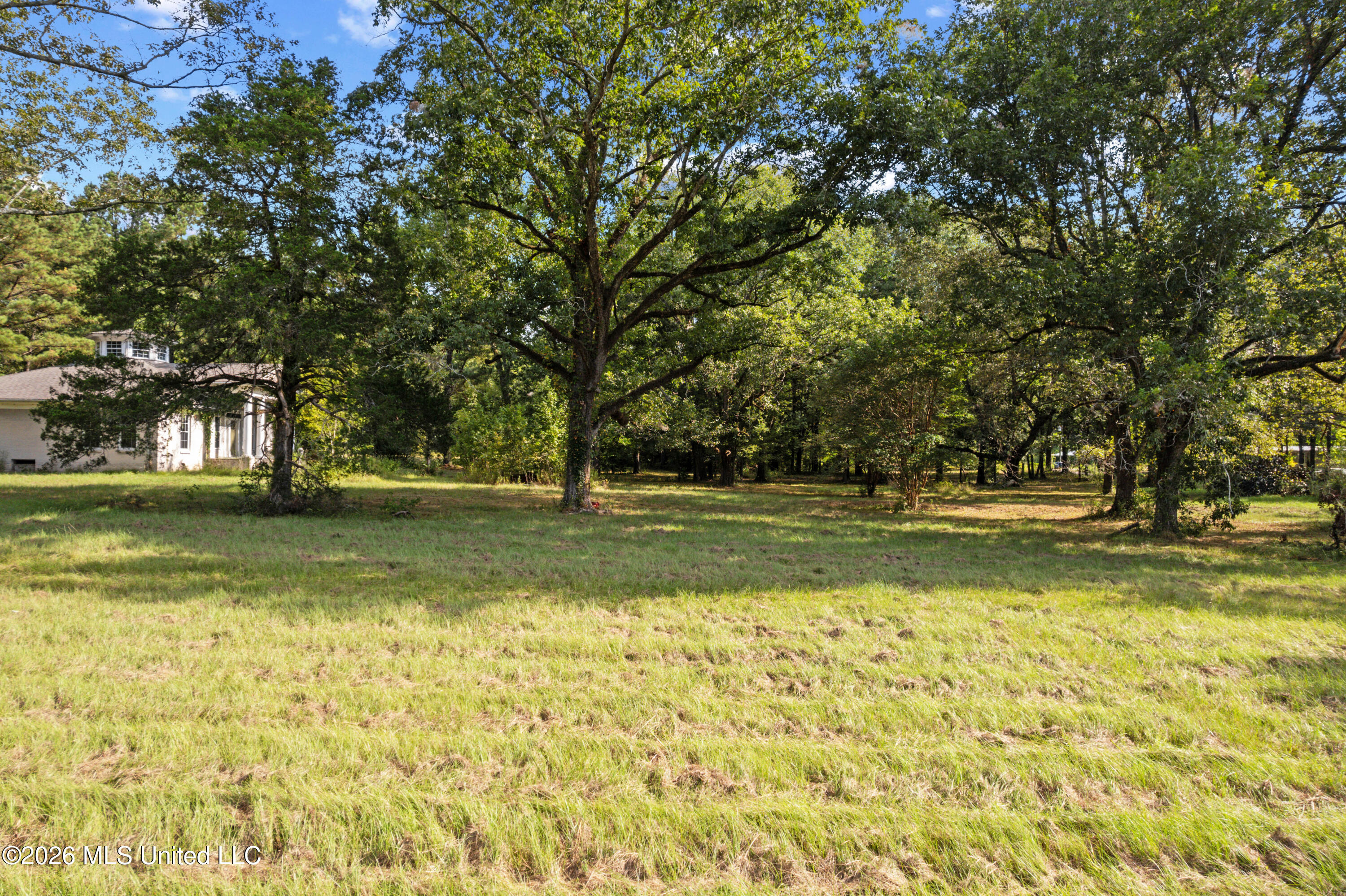 1194 Tom Kyzar Road Morton, MS 39117 - Photo 8 of 31 DJI_0417