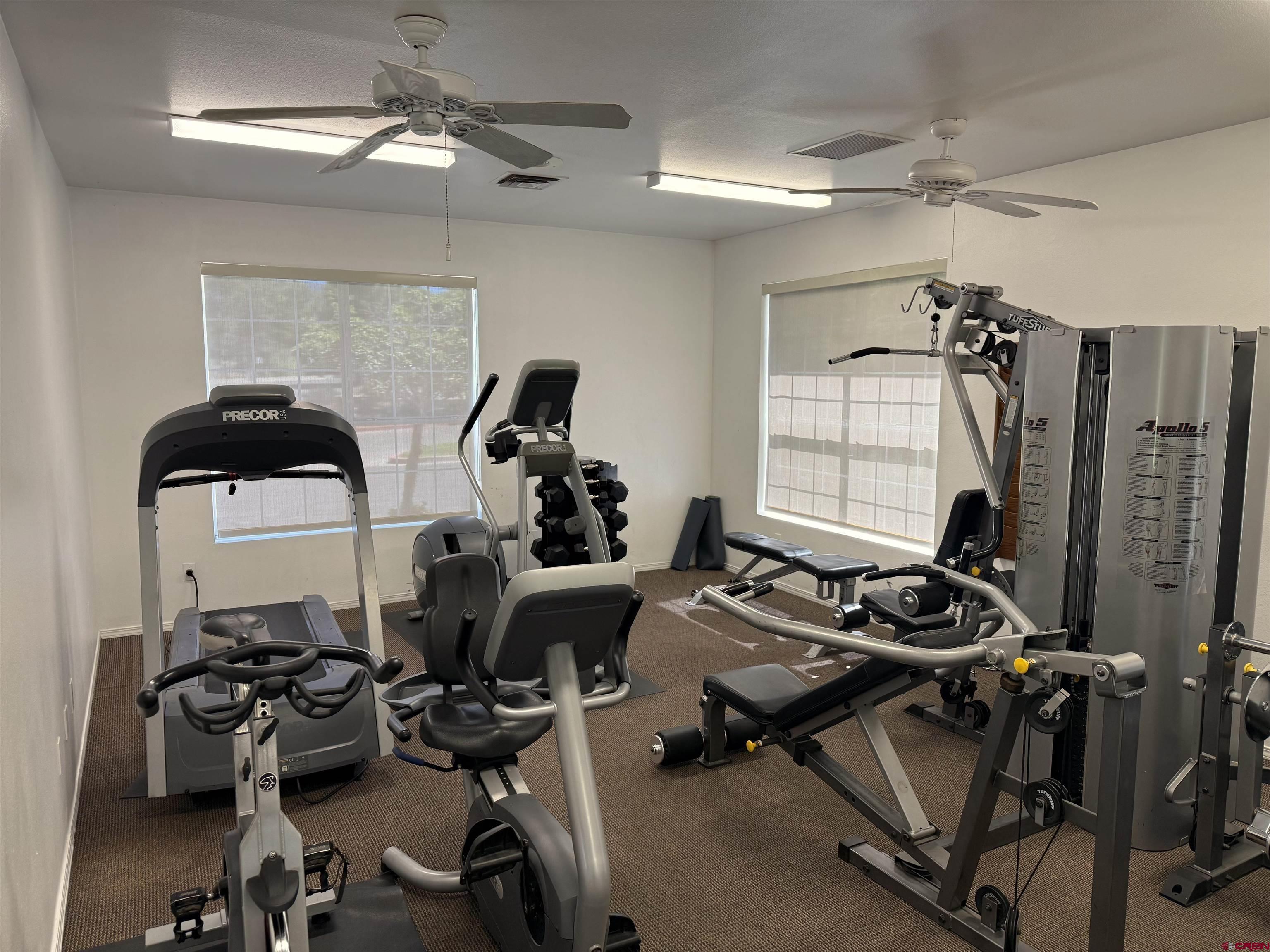 1100 Goeglein Gulch Road, Unit 125 Durango, CO 81301 - Photo 18 of 21