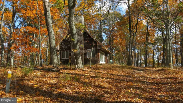 a house view with yard