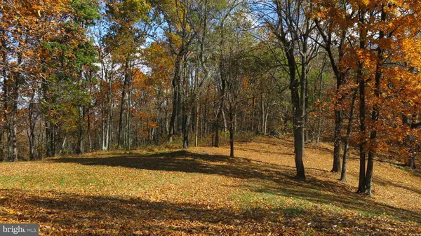 a view of a outdoor space and a yard