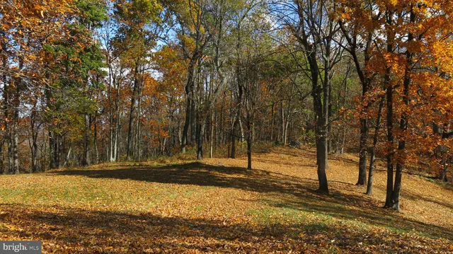 a view of a outdoor space and a yard