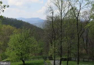 a view of a yard