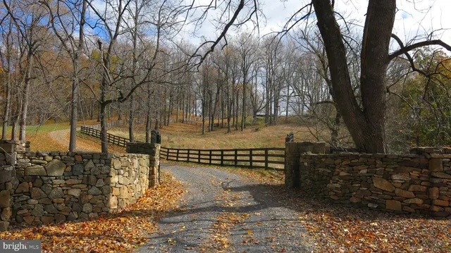 a view of a yard with plants and trees