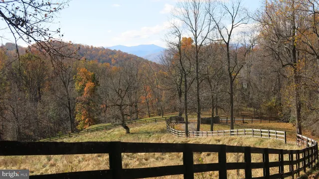 a living room with furniture a fireplace and potted plants
