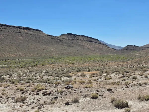 a view of a dry yard