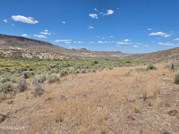 a view of a field with mountains in the background