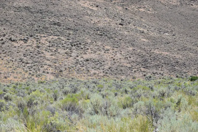 a view of a dry yard