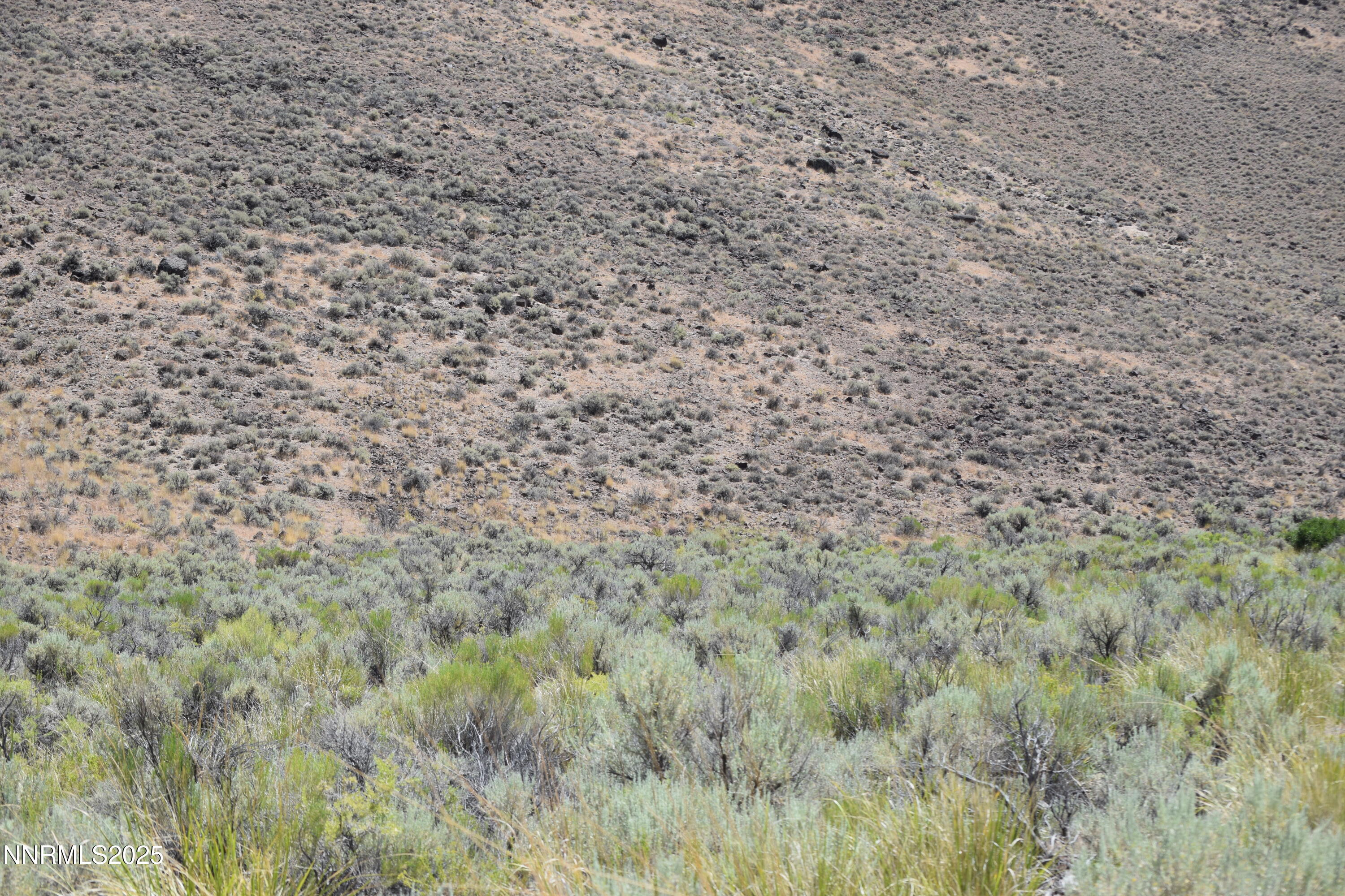 3304 High Rock Road, Unit HIGH ROCK ROAD APPROX 4 2 MILES Reno, NV 89510 - Photo 35 of 49 a view of a dry yard
