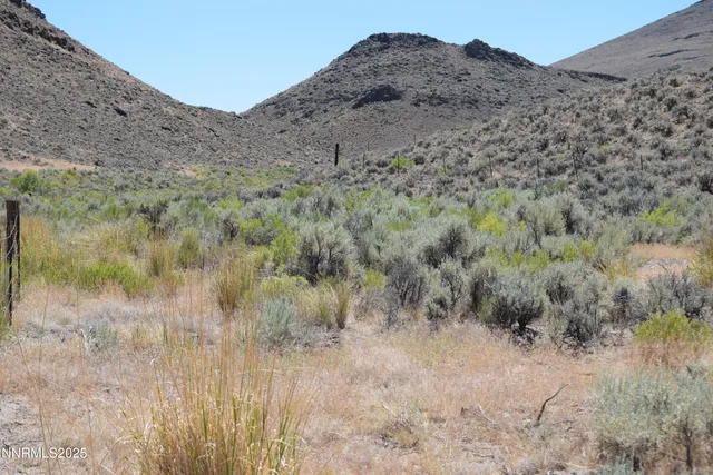 a view of a dry field