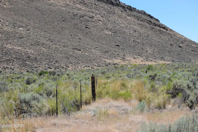 a view of a dry field with trees in the background