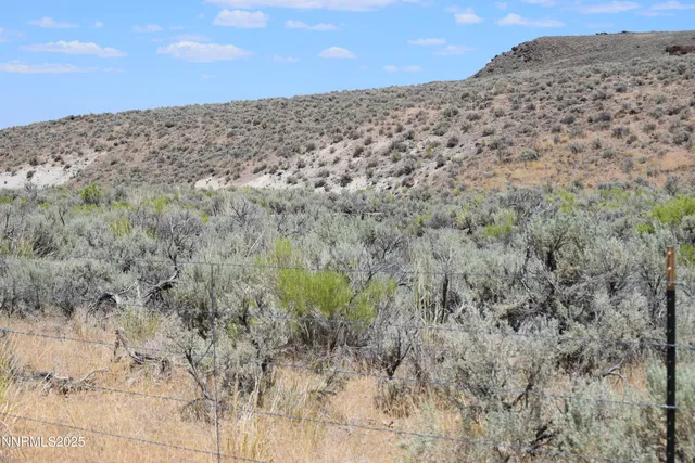 a view of a dry yard with wooden floor and fence