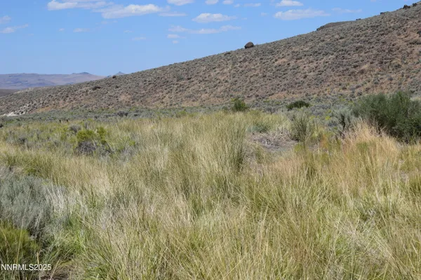 a view of a dry yard with mountains in the background