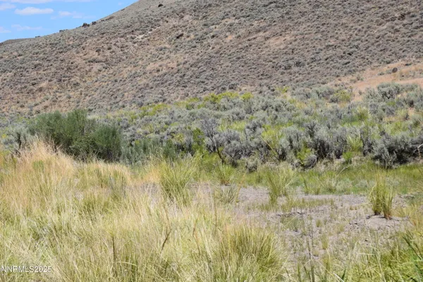 a view of a dry yard with wooden floor and fence