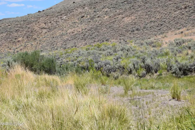 a view of a dry yard with wooden floor and fence