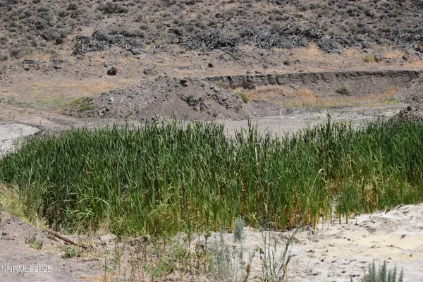a view of a road with a yard
