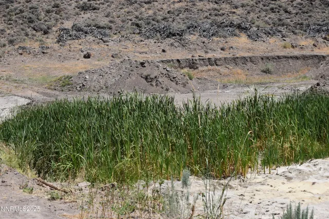 a view of a road with a yard