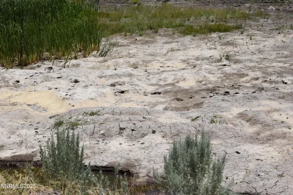a view of a road with a yard