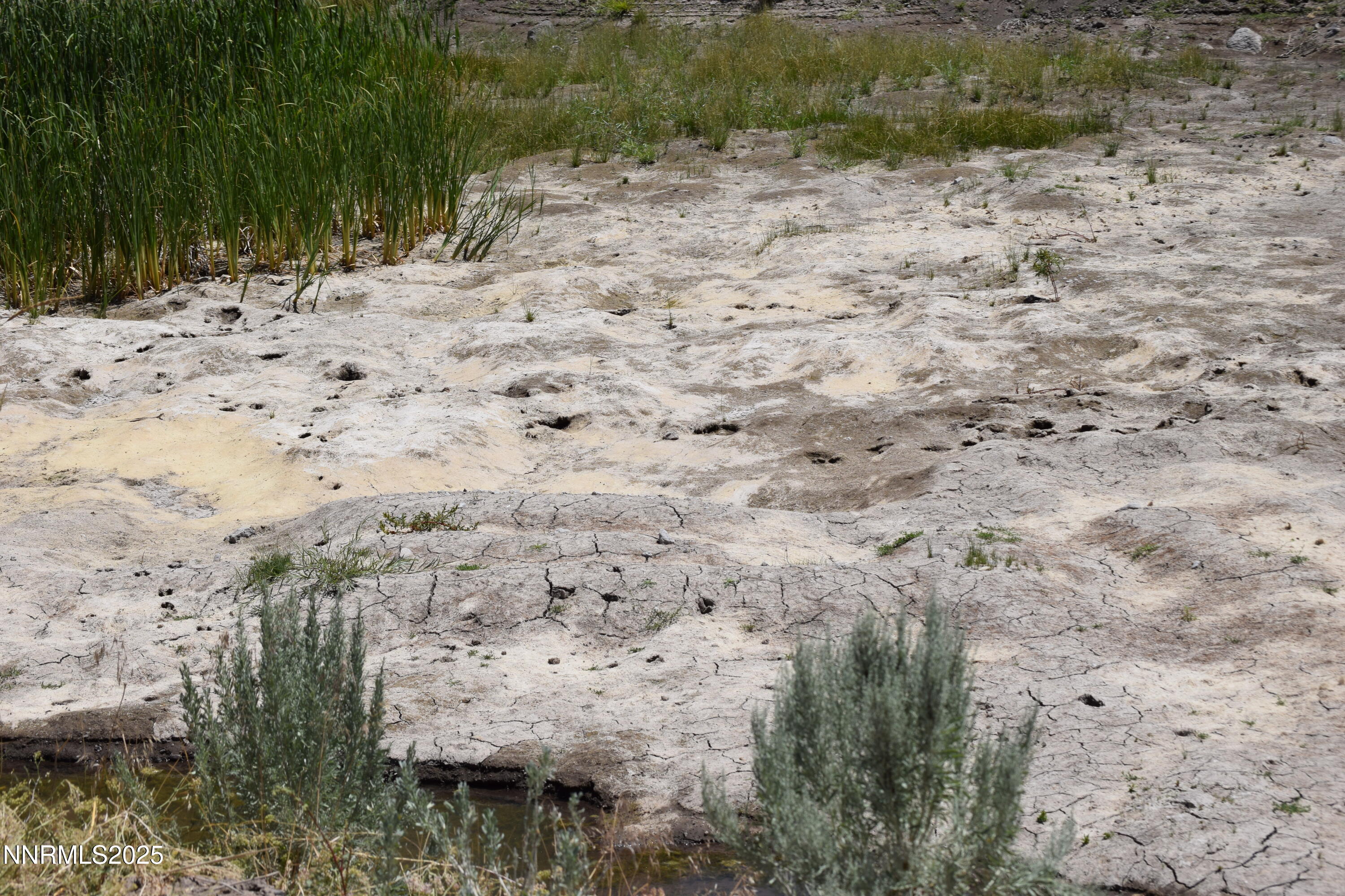 3304 High Rock Road, Unit HIGH ROCK ROAD APPROX 4 2 MILES Reno, NV 89510 - Photo 44 of 49 a view of a road with a yard