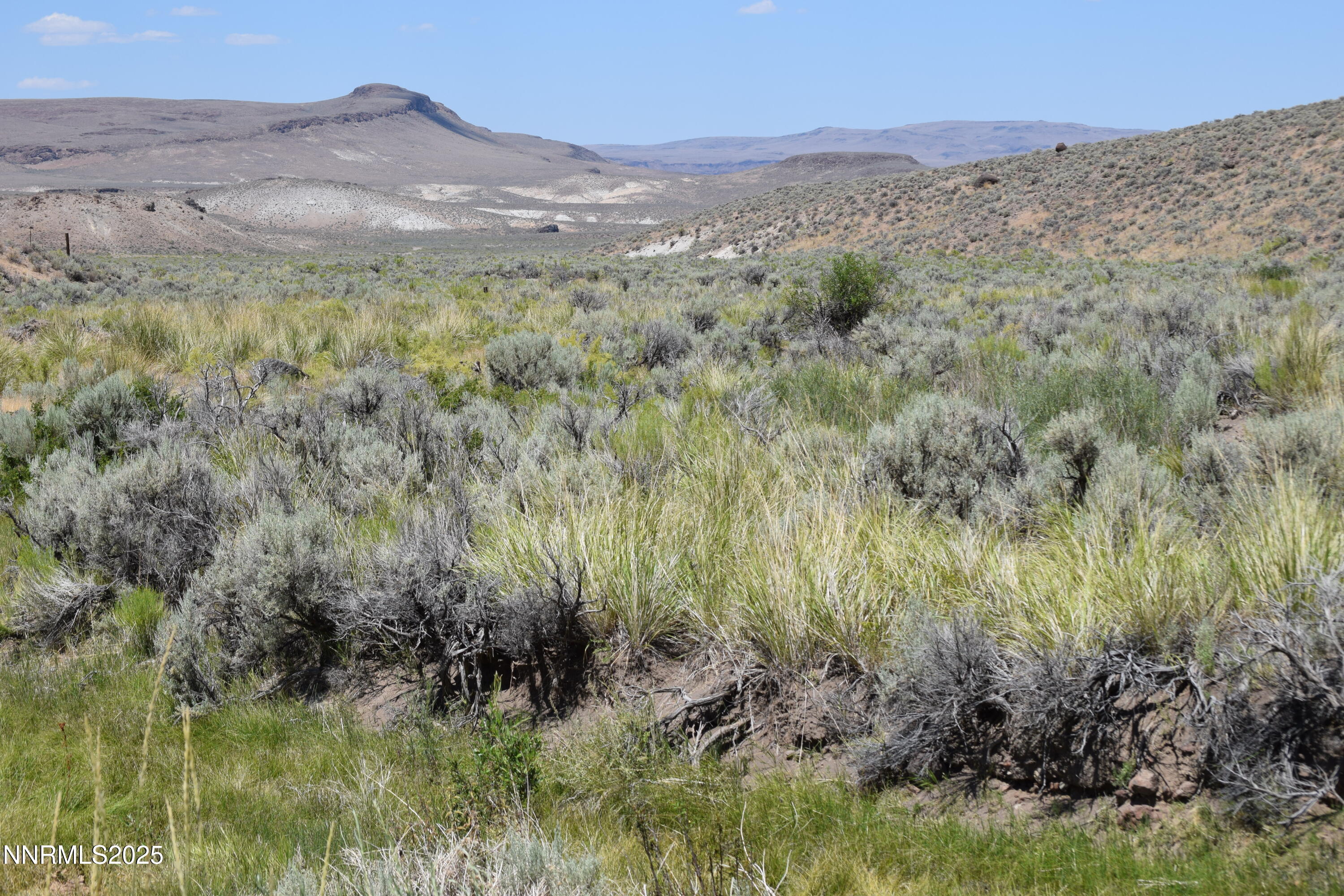 3304 High Rock Road, Unit HIGH ROCK ROAD APPROX 4 2 MILES Reno, NV 89510 - Photo 45 of 49 a view of a lush green field