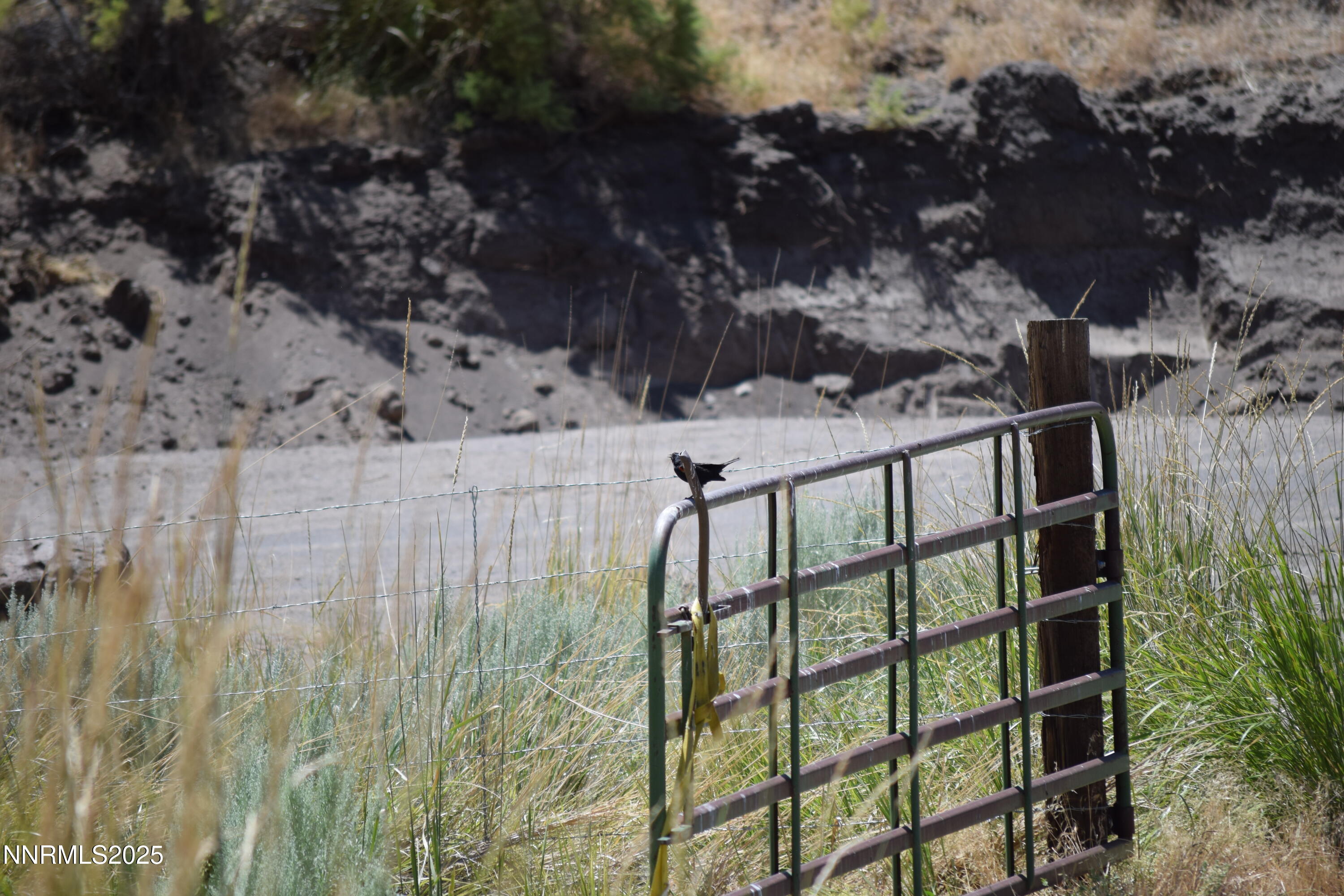 3304 High Rock Road, Unit HIGH ROCK ROAD APPROX 4 2 MILES Reno, NV 89510 - Photo 48 of 49 a view of a backyard