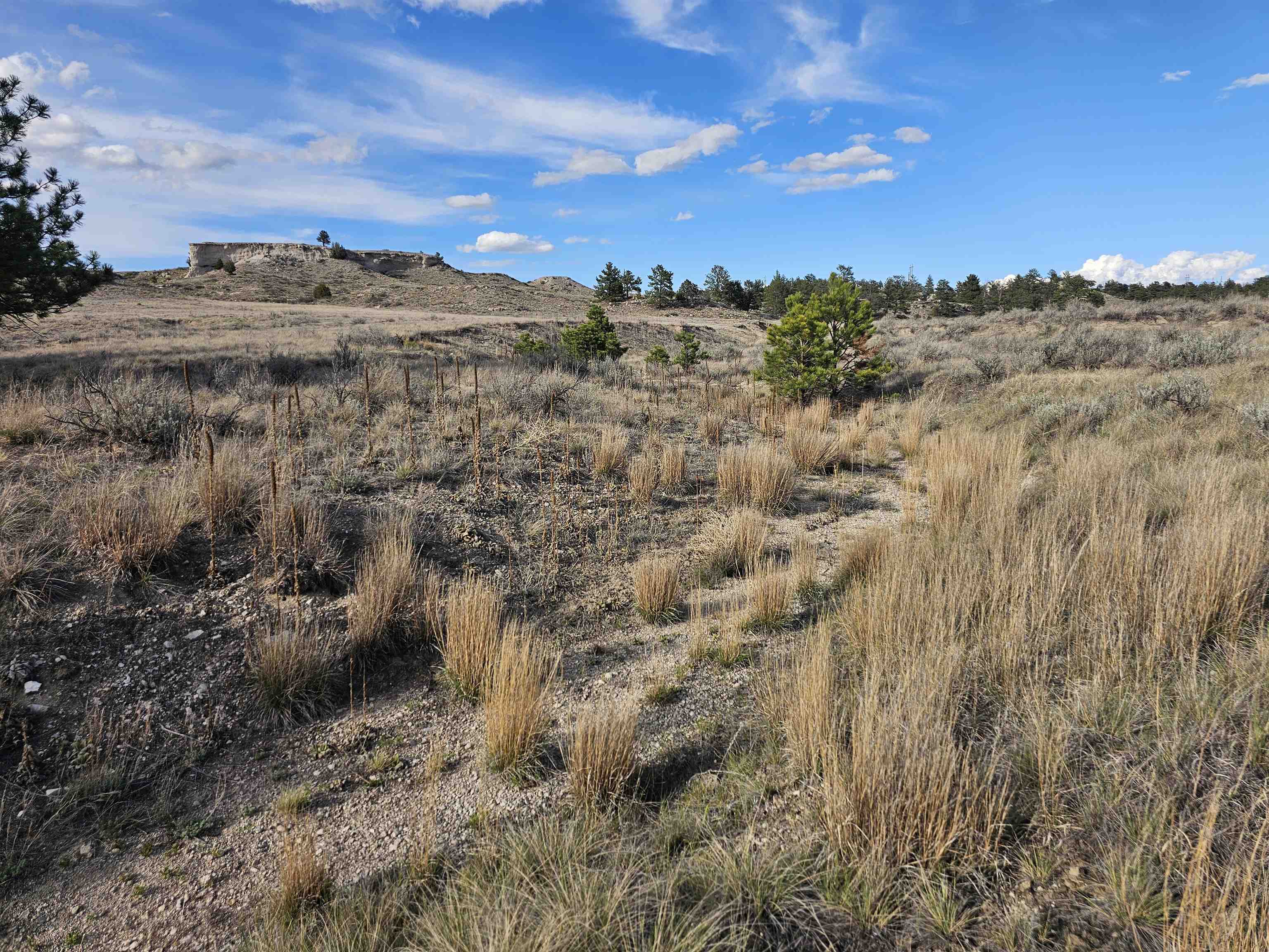 52 Wendover Road Guernsey, WY 82214 - Photo 23 of 42