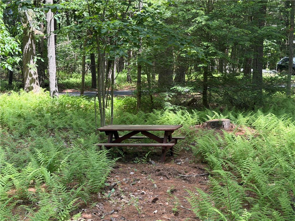 60 Sassafras Road Lehighton, PA 18235 - Photo 11 of 36 A tranquil wooded setting with a charming picnic table, perfect for outdoor meals.