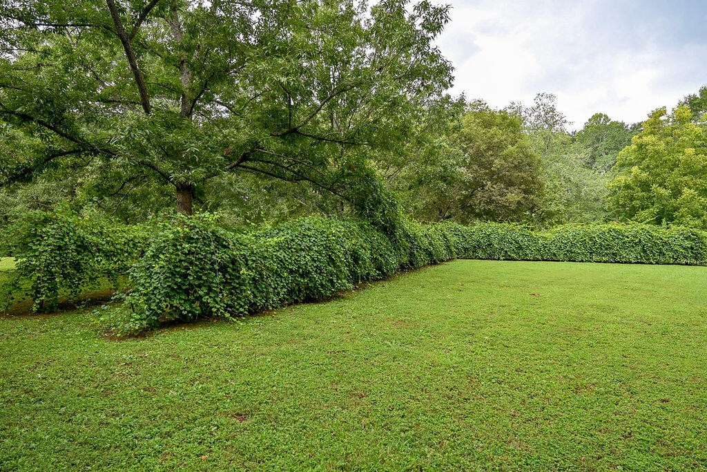 103 Riverside Court Benton, TN 37307 - Photo 44 of 50 Gallery Image 44