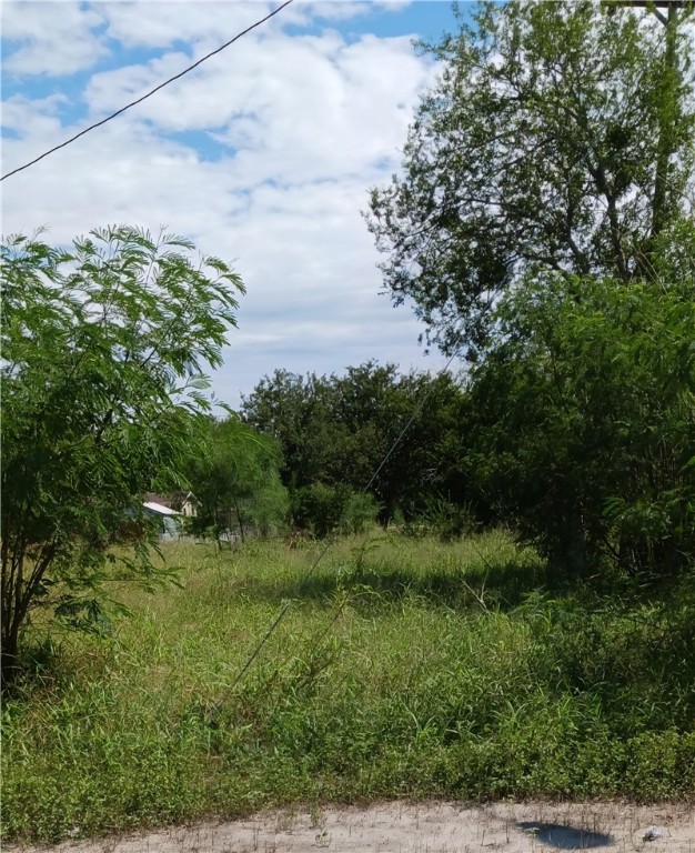 a view of a lush green space