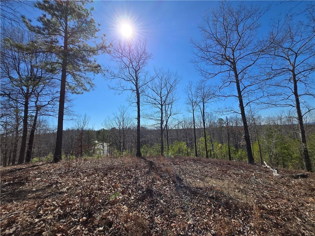 0 Brushy Mountain Road Rockmart, GA 30153 - Photo 10 of 10 a view of backyard with green space